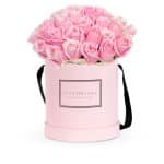 الورود باللون الوردي